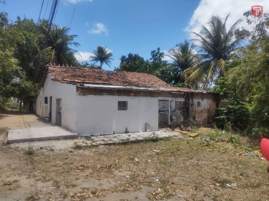 Terreno à venda - Santa Terezinha,Campina Grande